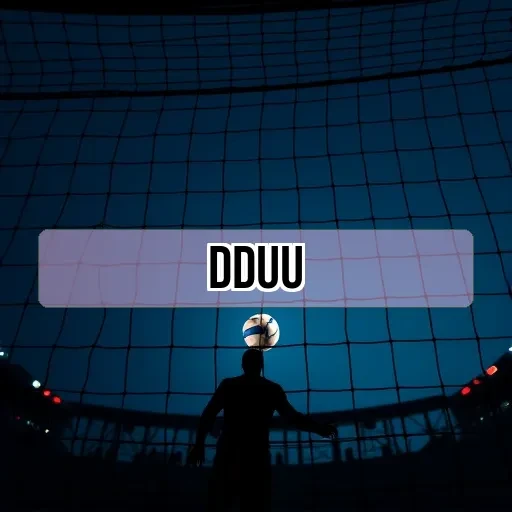 dduu.com Habilidade Testada